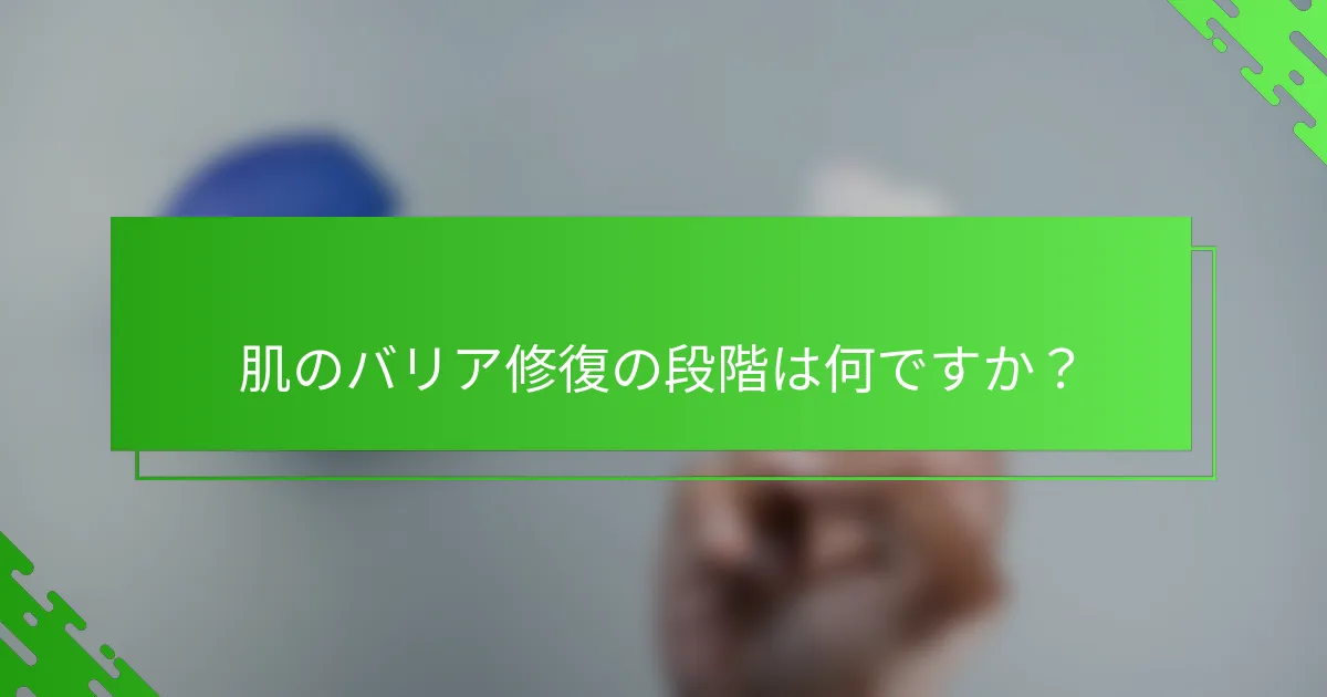 肌のバリア修復の段階は何ですか？